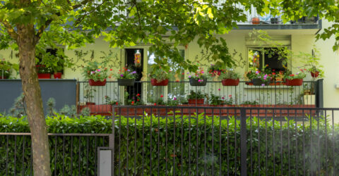 concours maisons et balcons fleuris